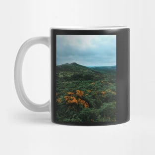 Dartmoor Dawn Mug